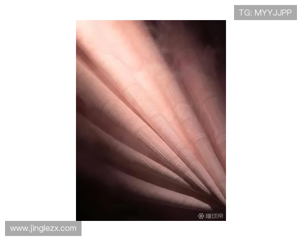 陕西联合2026赛季客场球衣灵感融合三花元素 陕西联合2026赛季客场球衣灵感融合三花元素