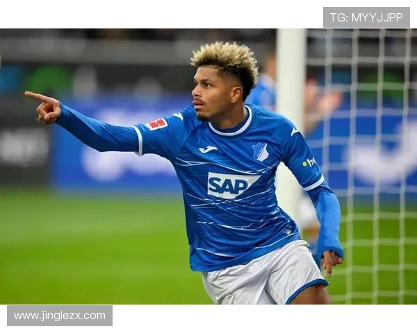 霍芬海姆与后卫哈伊达里续约至2027年